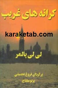 کرانه های غریب