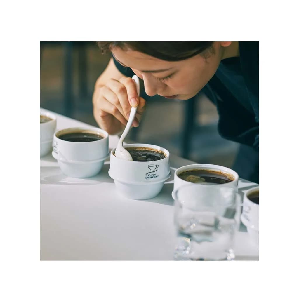 کاپ کاپینگ اوریگامی با طرح Cup of Excellence — تصویر ۲