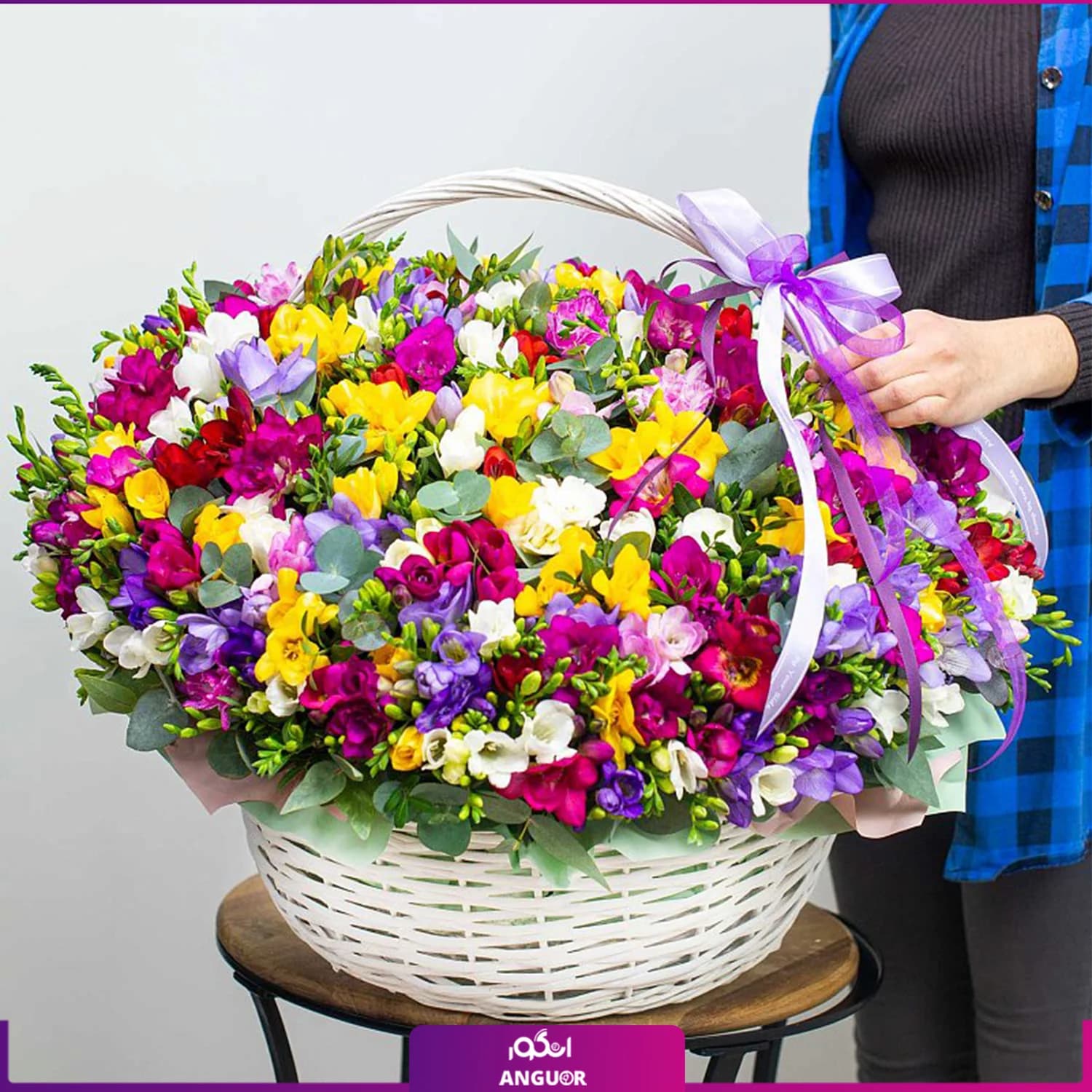 سبد گل فرزیا 160 شاخه ای رنگارنگ