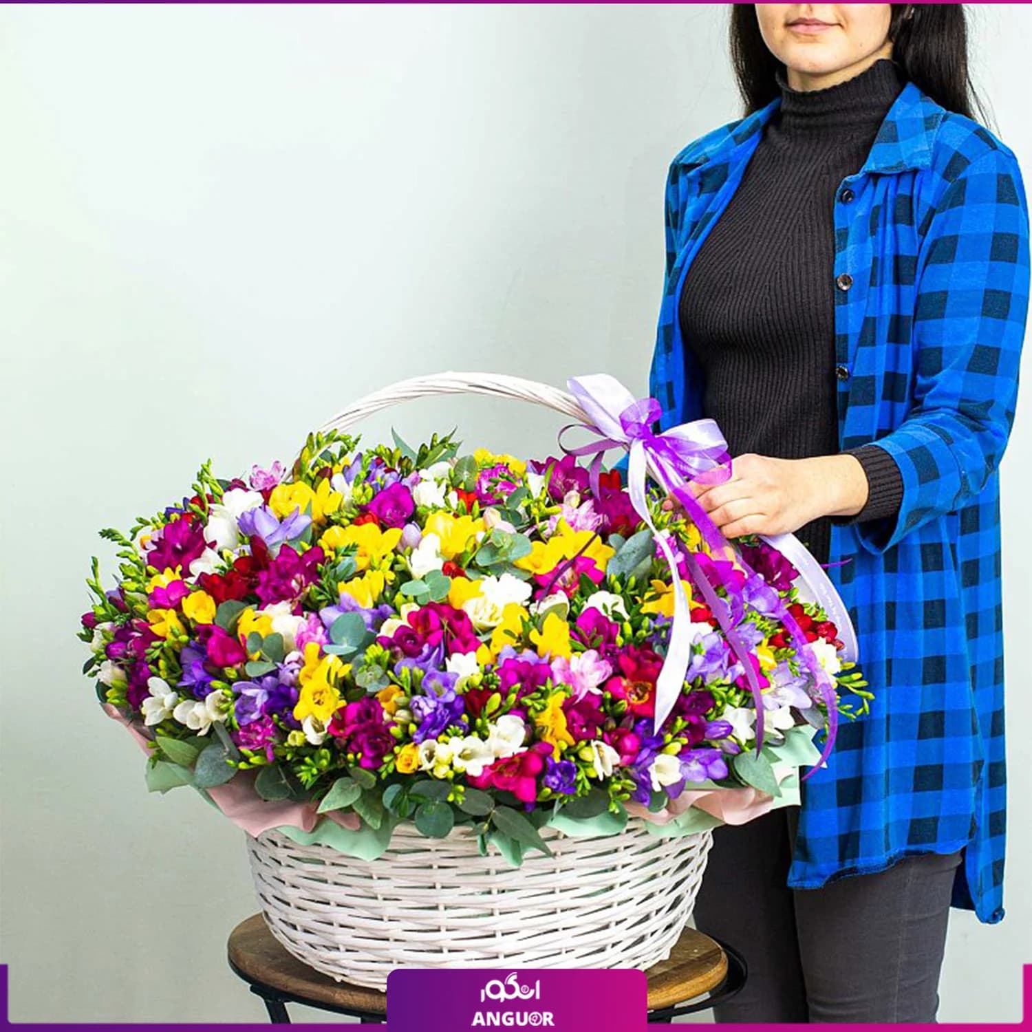 سبد گل فرزیا 160 شاخه ای رنگارنگ — تصویر ۲