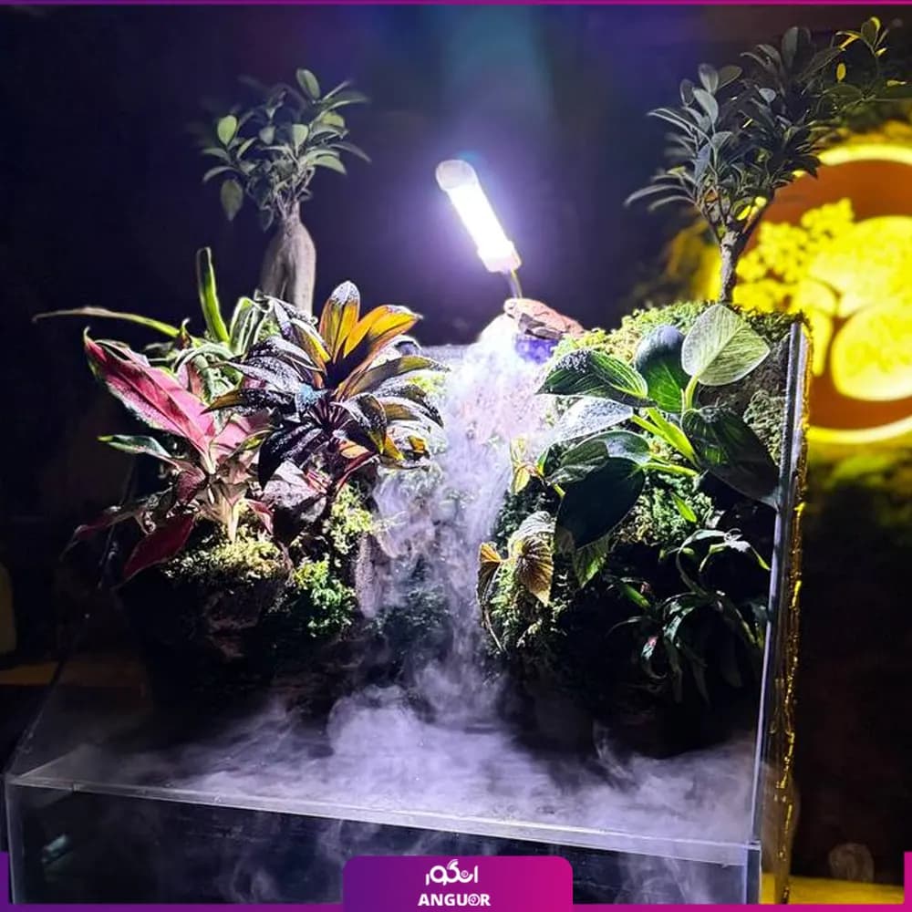 پالوداریوم به همراه گیاه بونسای — تصویر ۳