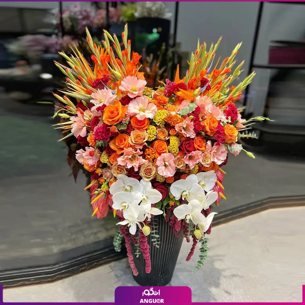 جام گلدان زیبایی آغاز