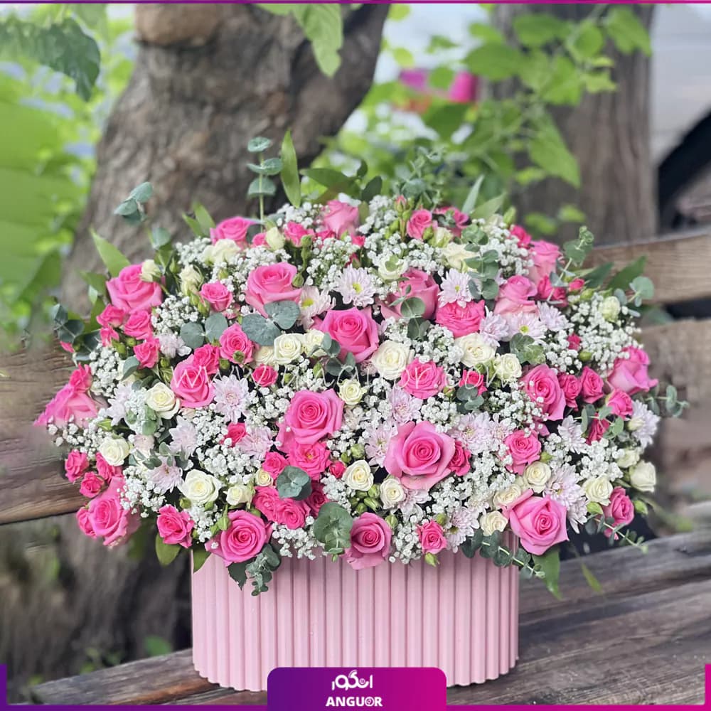 باکس گل جوانه شادی