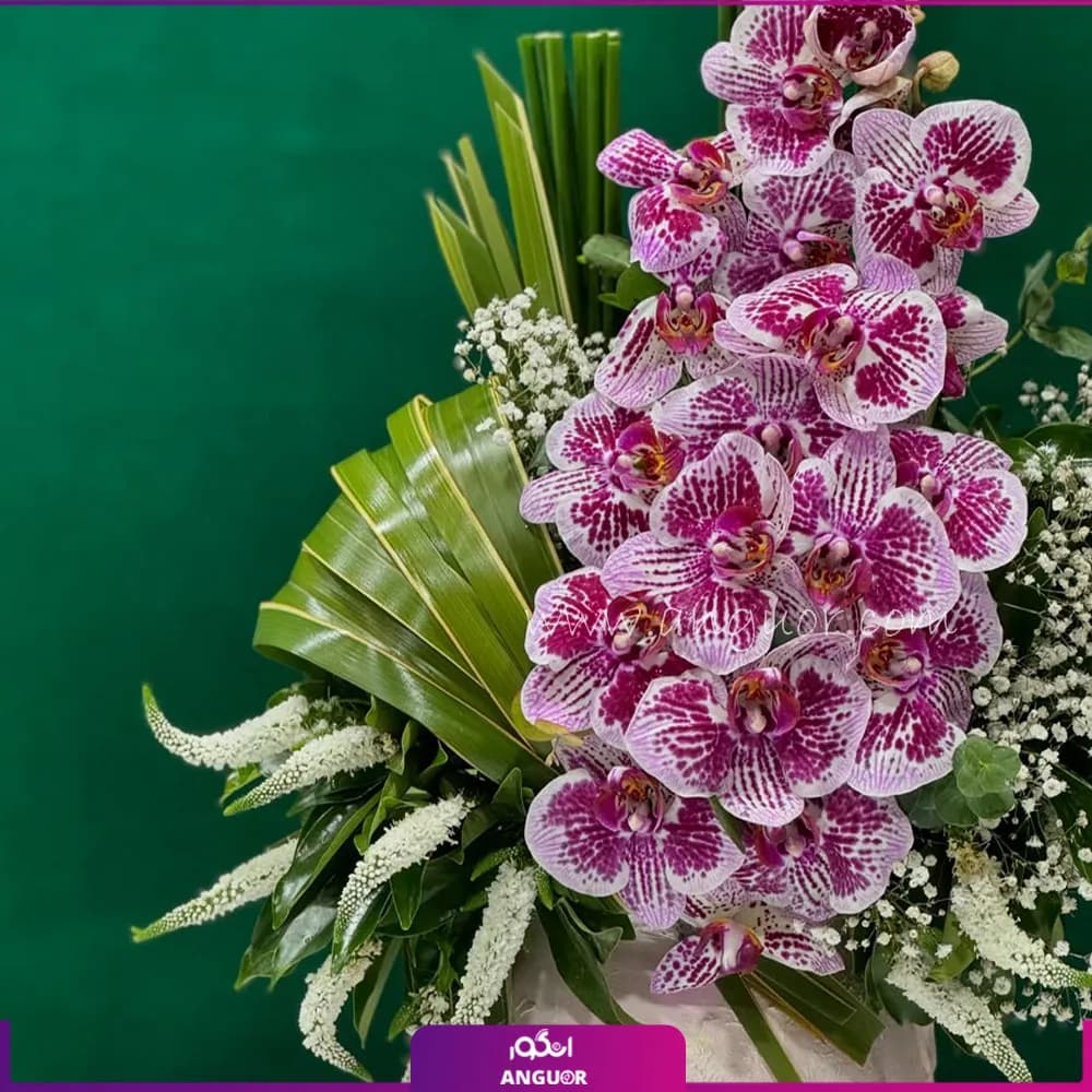 لاکچری جام گل خواستگاری ارکیده — تصویر ۲