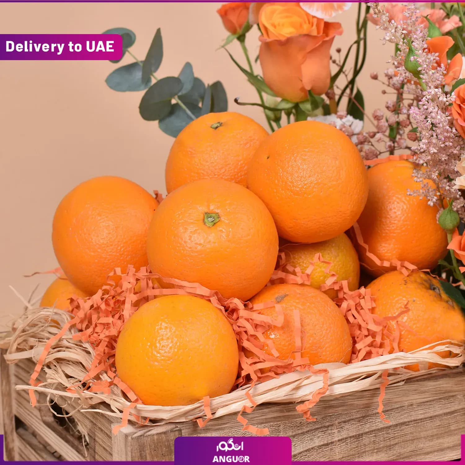 باکس آرزوی سلامتی (دبی و امارات) — تصویر ۳