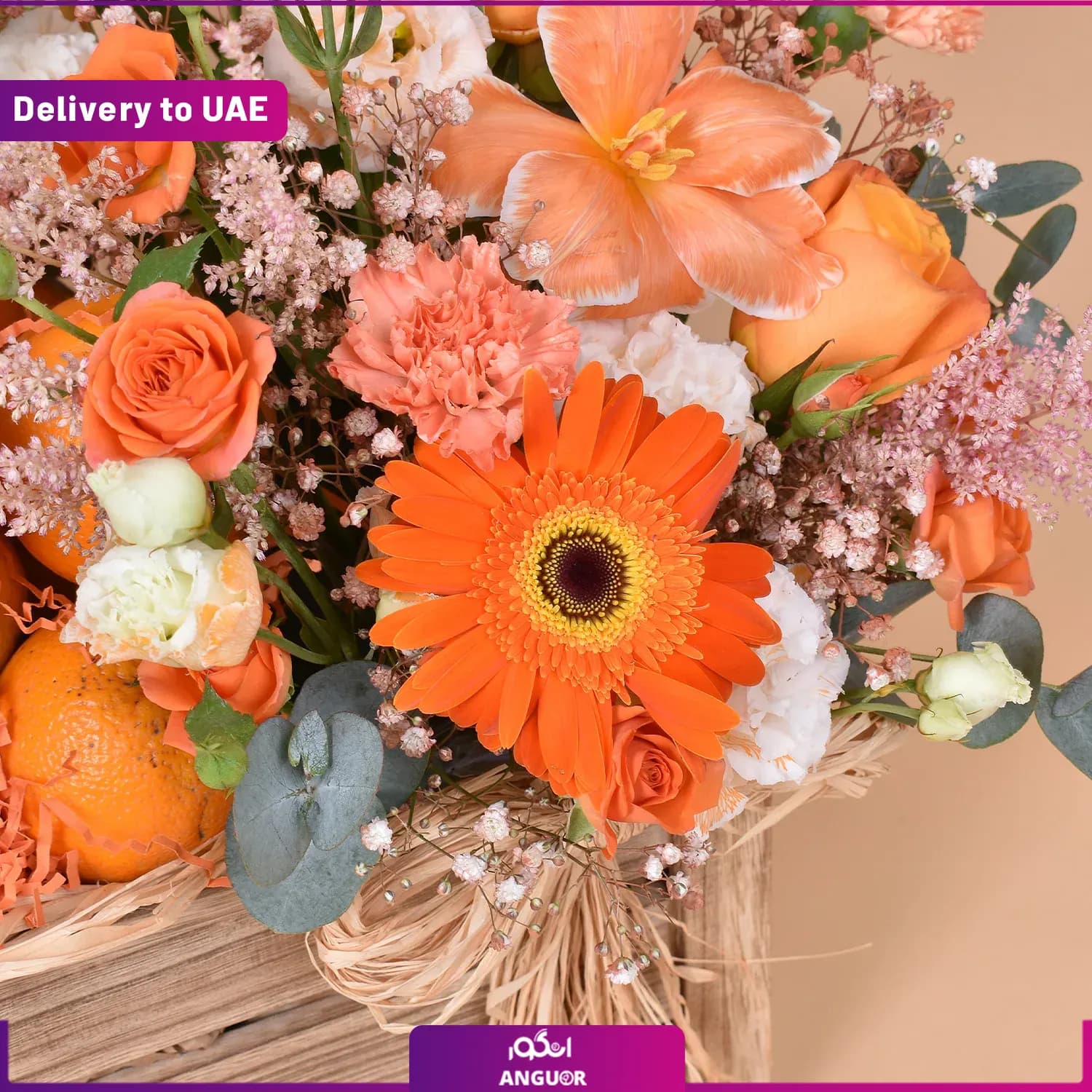 باکس آرزوی سلامتی (دبی و امارات) — تصویر ۲