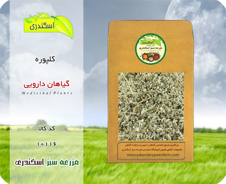 گیاه کلپوره