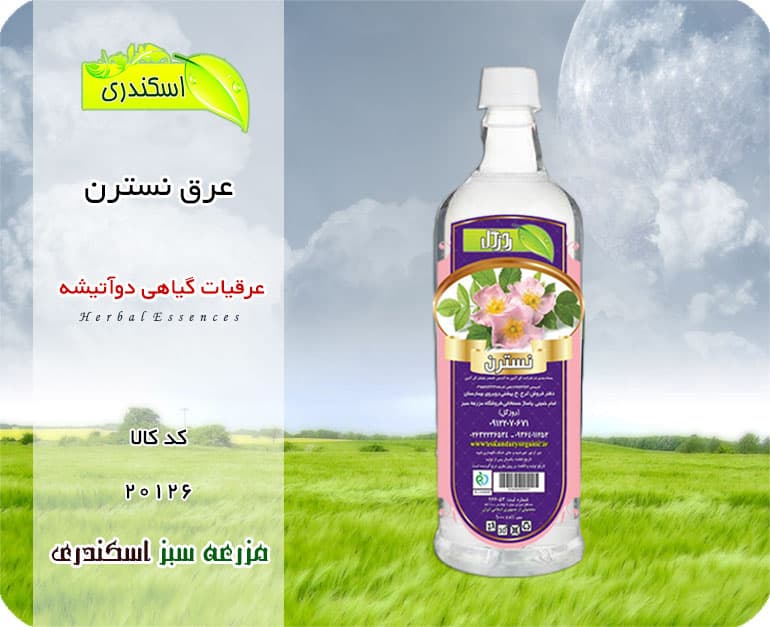 عرق نسترن اصل