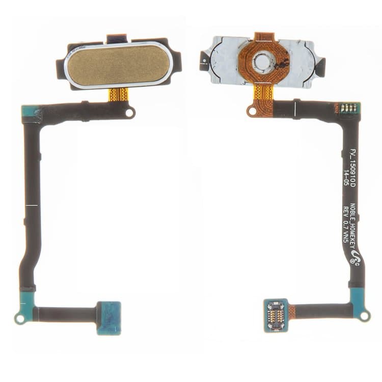 FLAT NOTE 5 FINGER HOME GOLD SAM