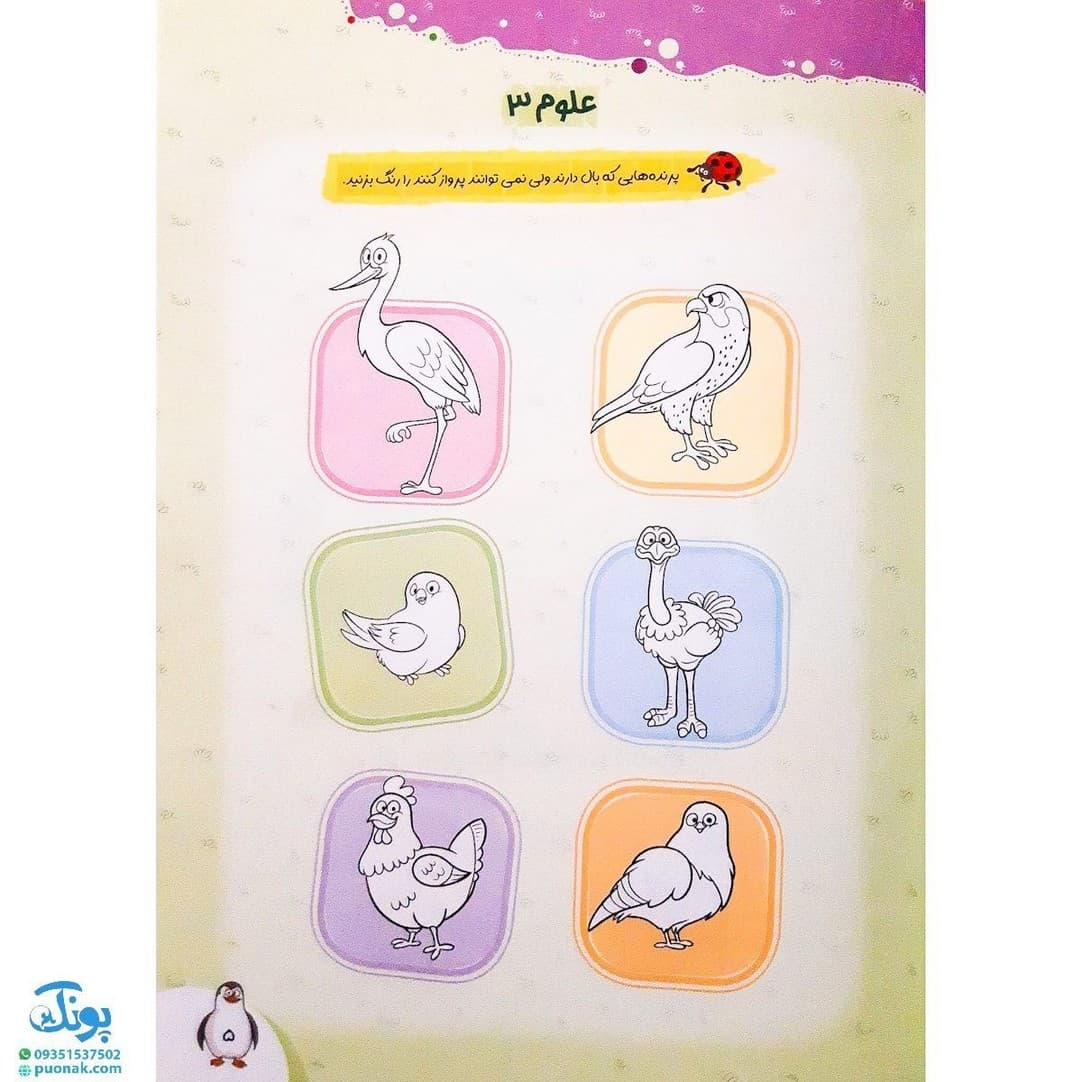 کتاب علوم کودکان ۳ تربچه — تصویر ۲