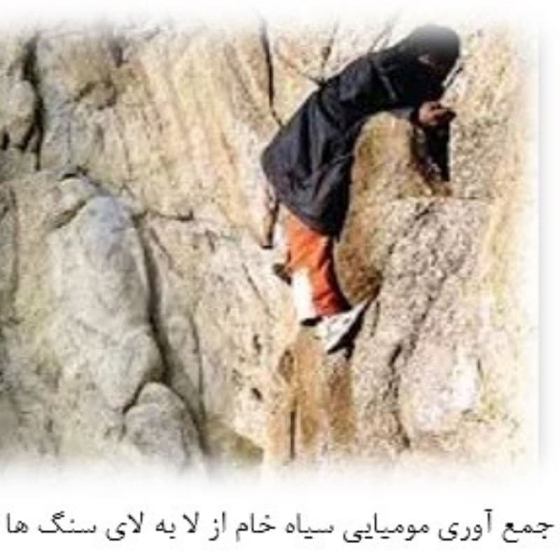 مومیایی مشکی نپال اصل 500 گرمی درجه یک مومیایی سیاه اصل مومیایی سیاه اصل یا مومنایی موملایی مومیایی سیاه اصل کیفیت بالا مومنایی مومیایی موملایی کاهش دهنده استرس | برای درد زانو آرتروز اختلالات عصبی دی — تصویر ۲