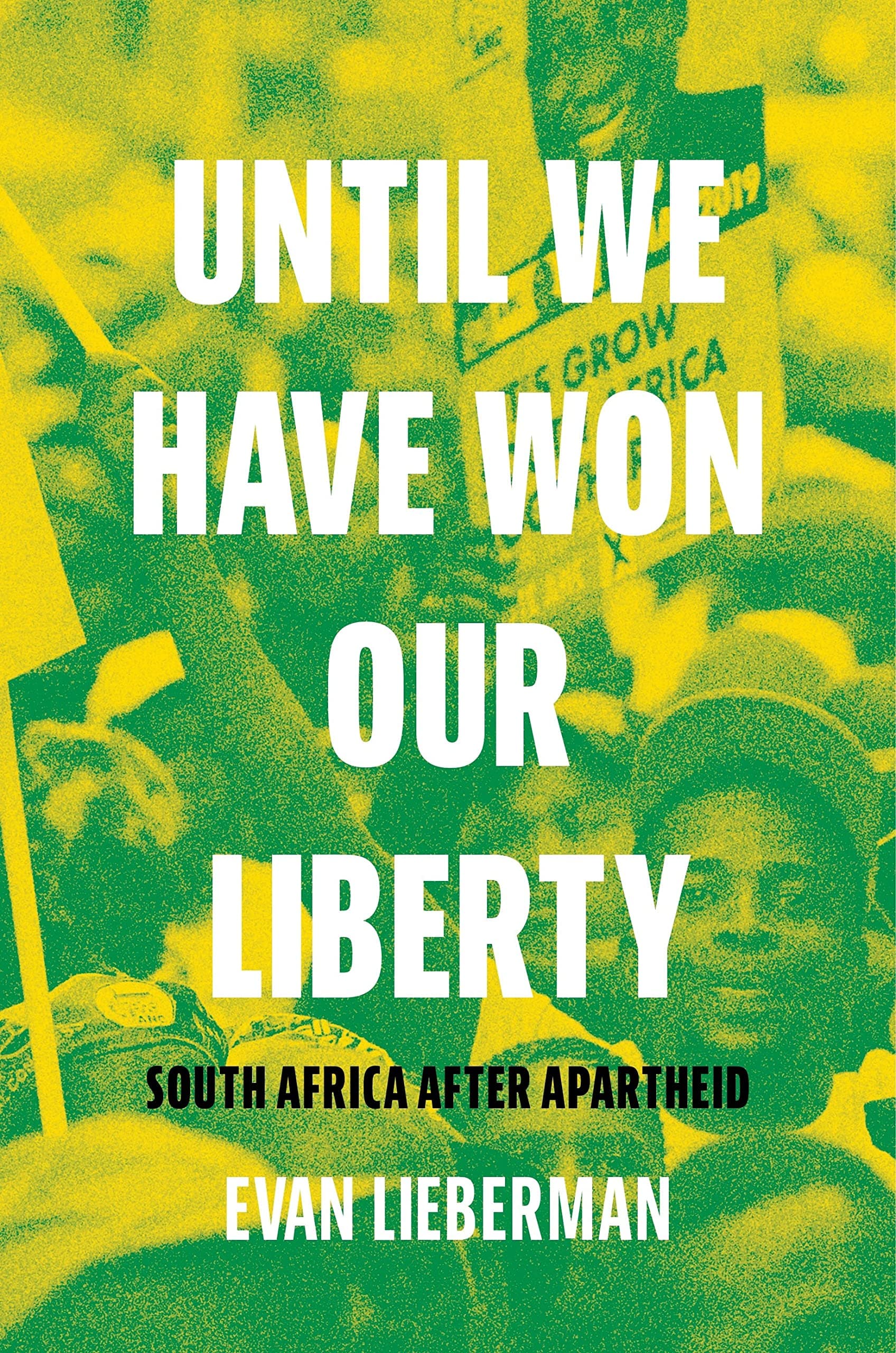دانلود کتاب Until We Have Won Our Liberty: South Africa after Apartheid