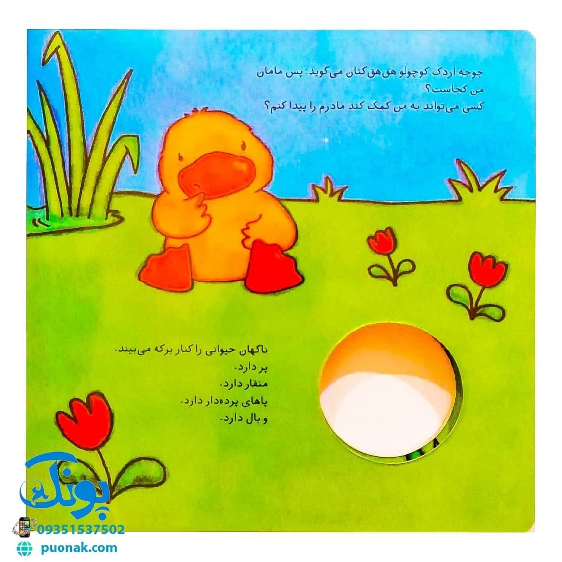 کتاب مامان من کو؟ جوجه اردک کوچولو (کتاب سوت دار) – شهر قلم — تصویر ۶