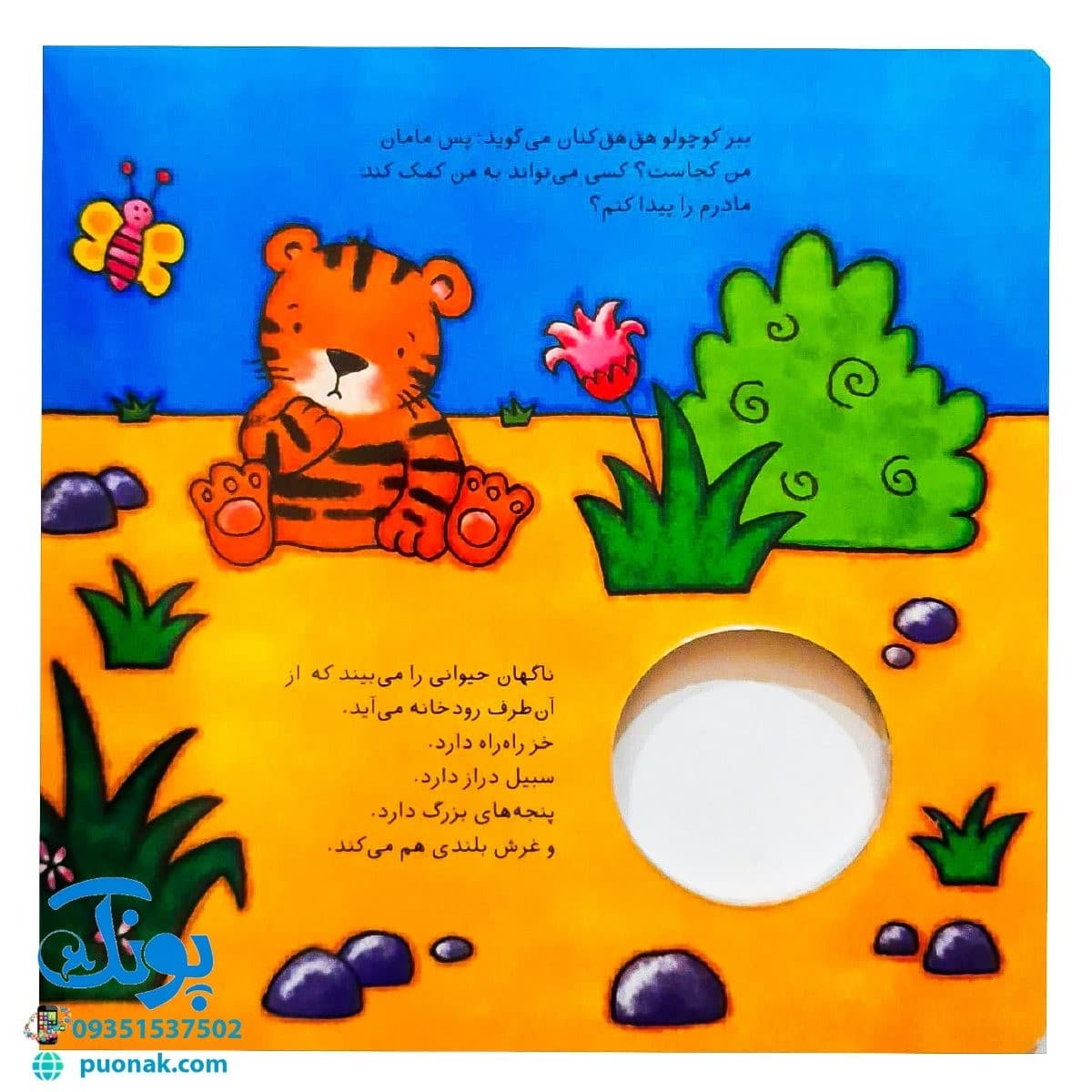 کتاب مامان من کو؟ توله ببر کوچولو (کتاب سوت دار) – شهر قلم — تصویر ۶