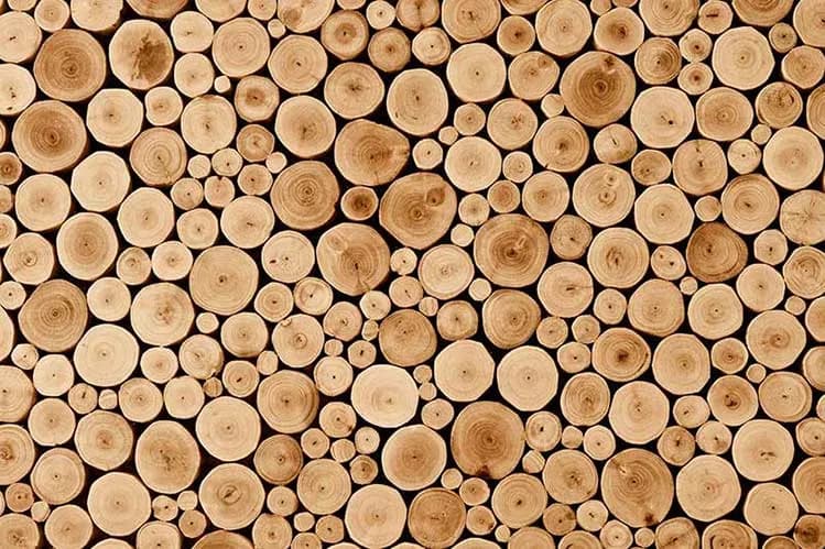 کاغذ دیواری سه بعدی طرح چوب
