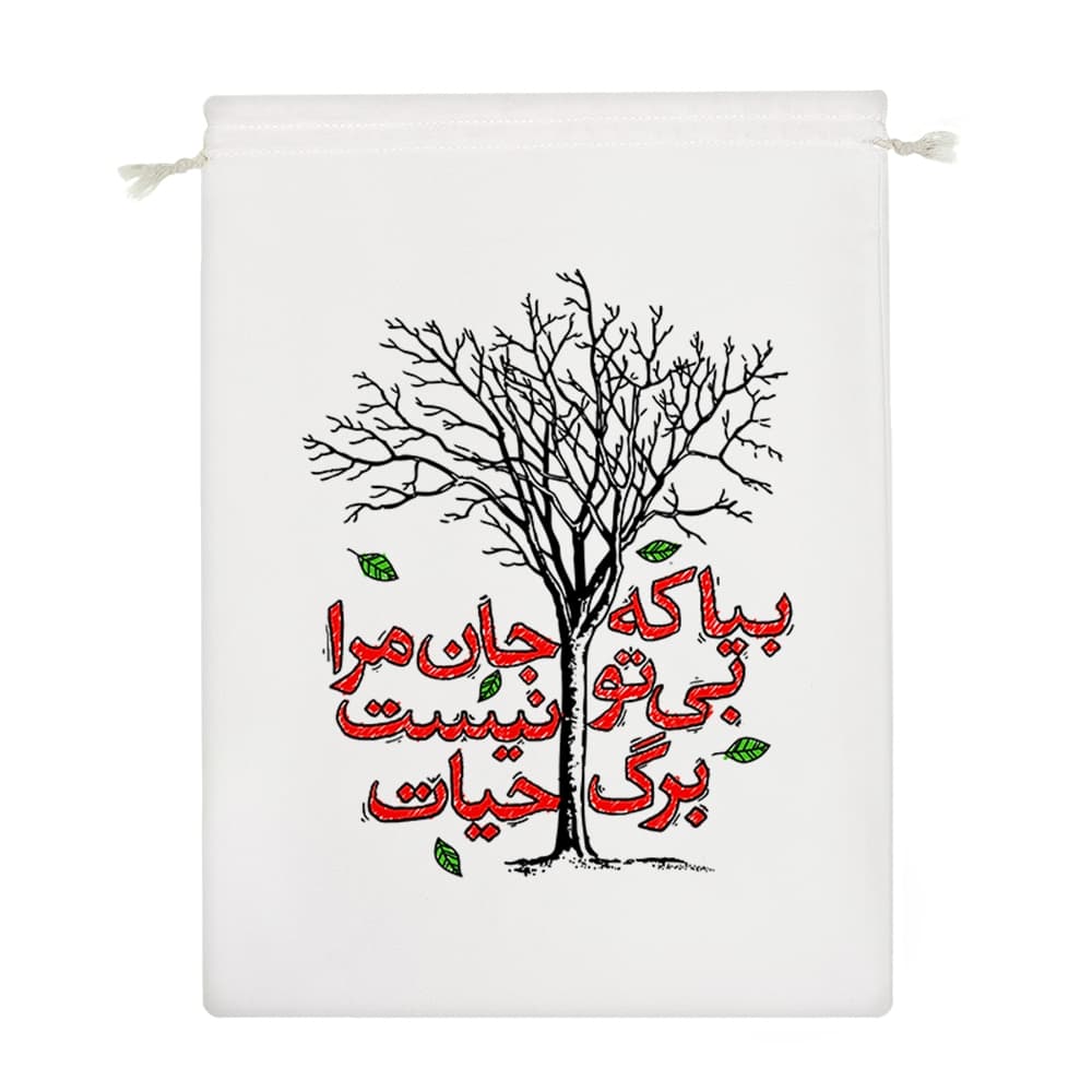 کیسه نظم دهنده بیا که جان مرا بی تو نیست برگ حیات — تصویر ۴