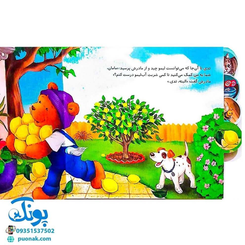 کتاب تدی کمک می کند (مجموعه ماجراهای تدی) — تصویر ۴