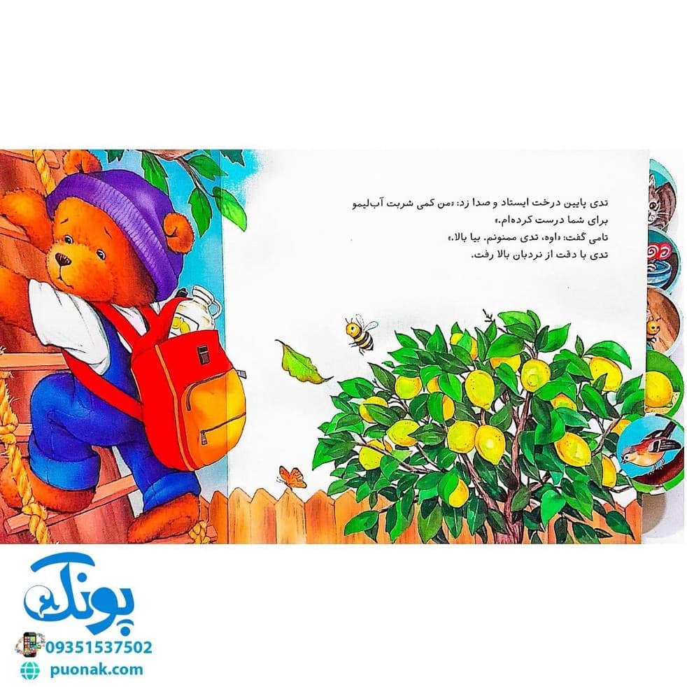 کتاب تدی کمک می کند (مجموعه ماجراهای تدی) — تصویر ۵