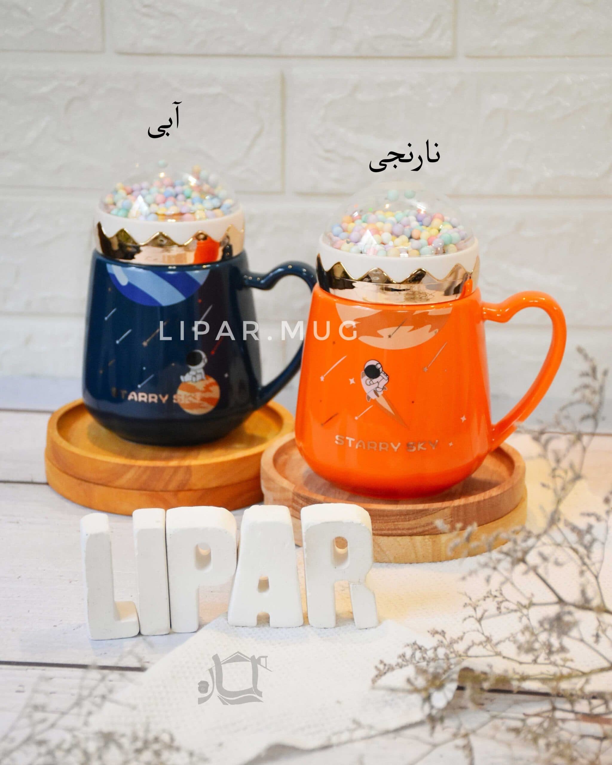 ماگ فضایی در آکواریومی 3298 — تصویر ۲