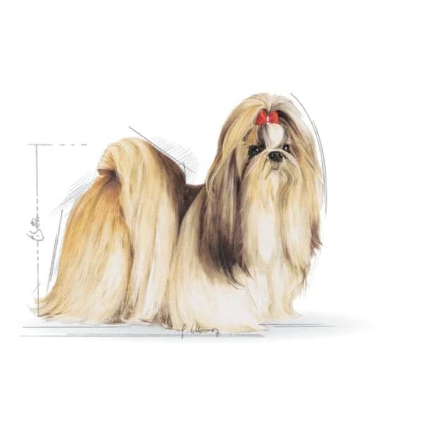 غذای خشک سگ بالغ Shih Tzu رویال کنین 1.5Kg — تصویر ۴