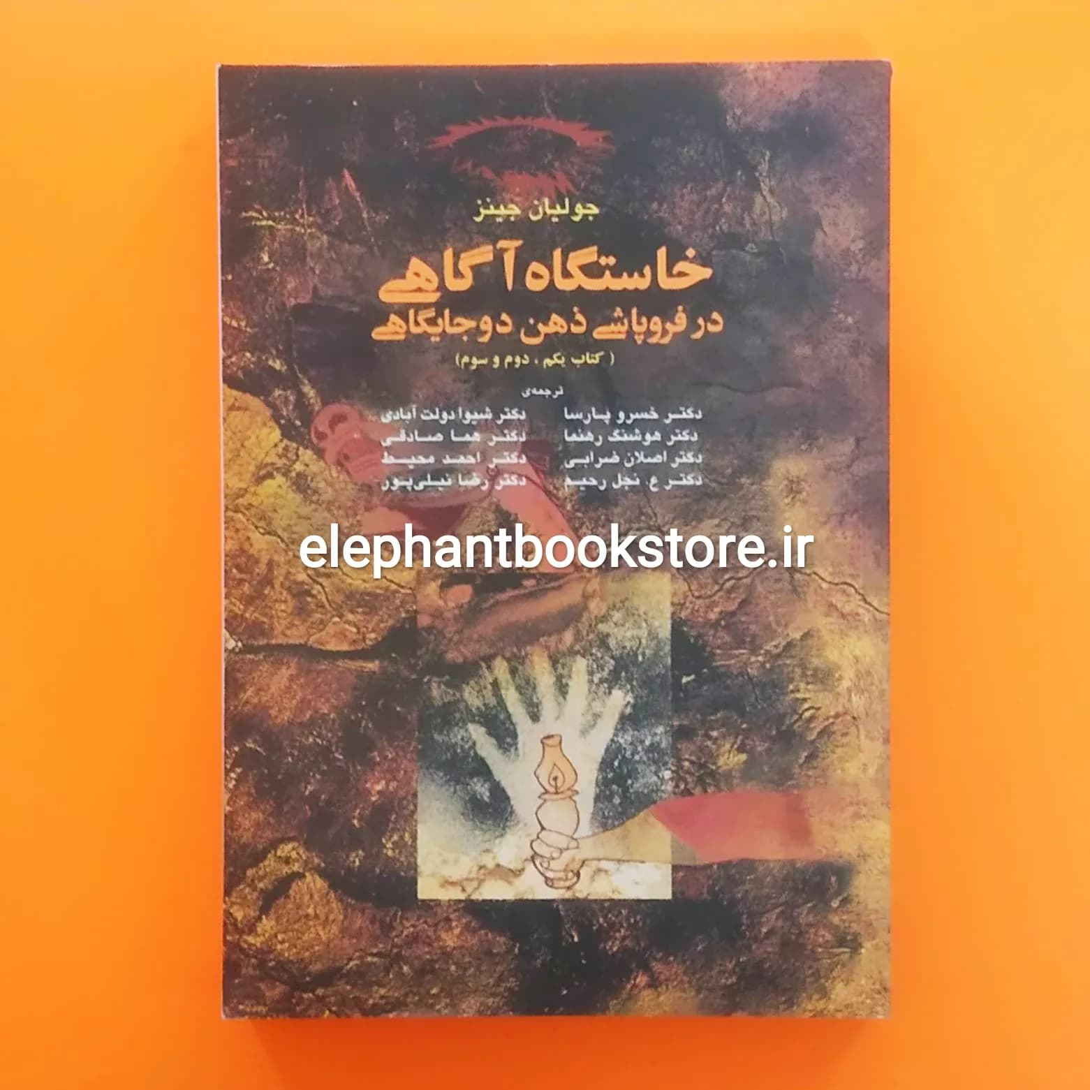 کتاب خاستگاه آگاهی در فروپاشی ذهن دو جایگاهی