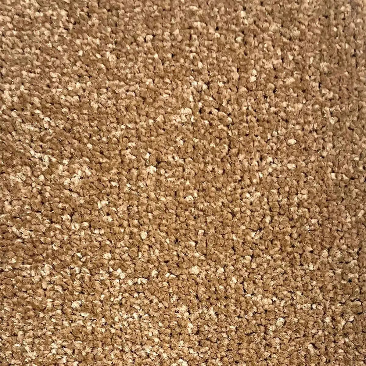 موکت پالاز مدل کات سی — تصویر ۲