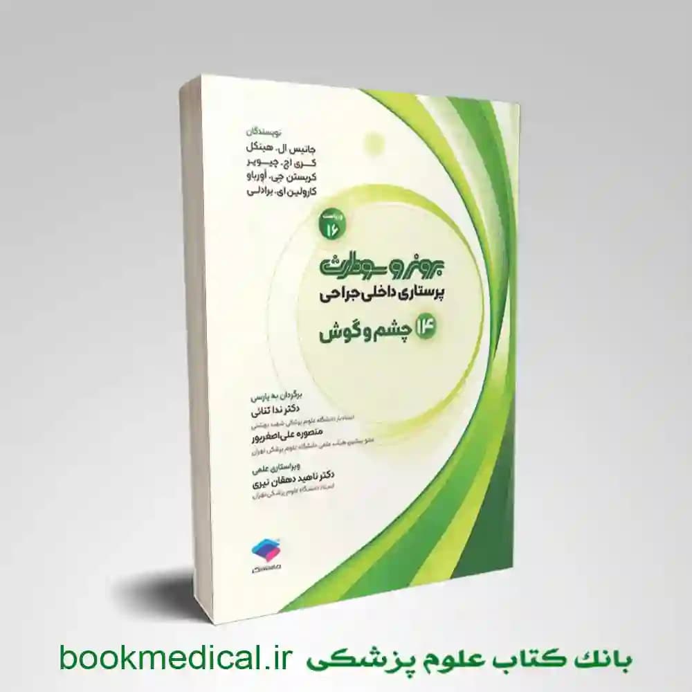 برونر و سودارث چشم و گوش