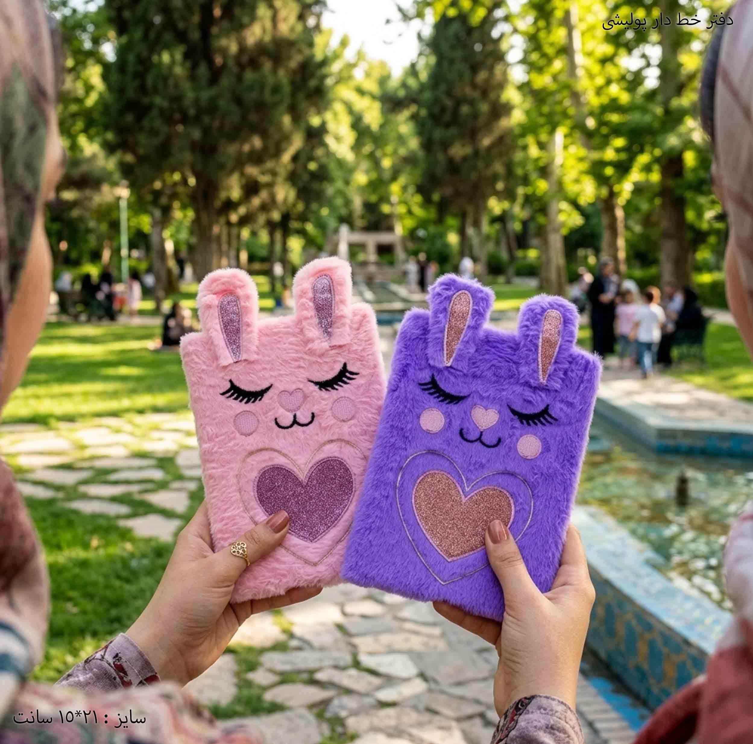 دفتر خط دار پولیشی — تصویر ۲
