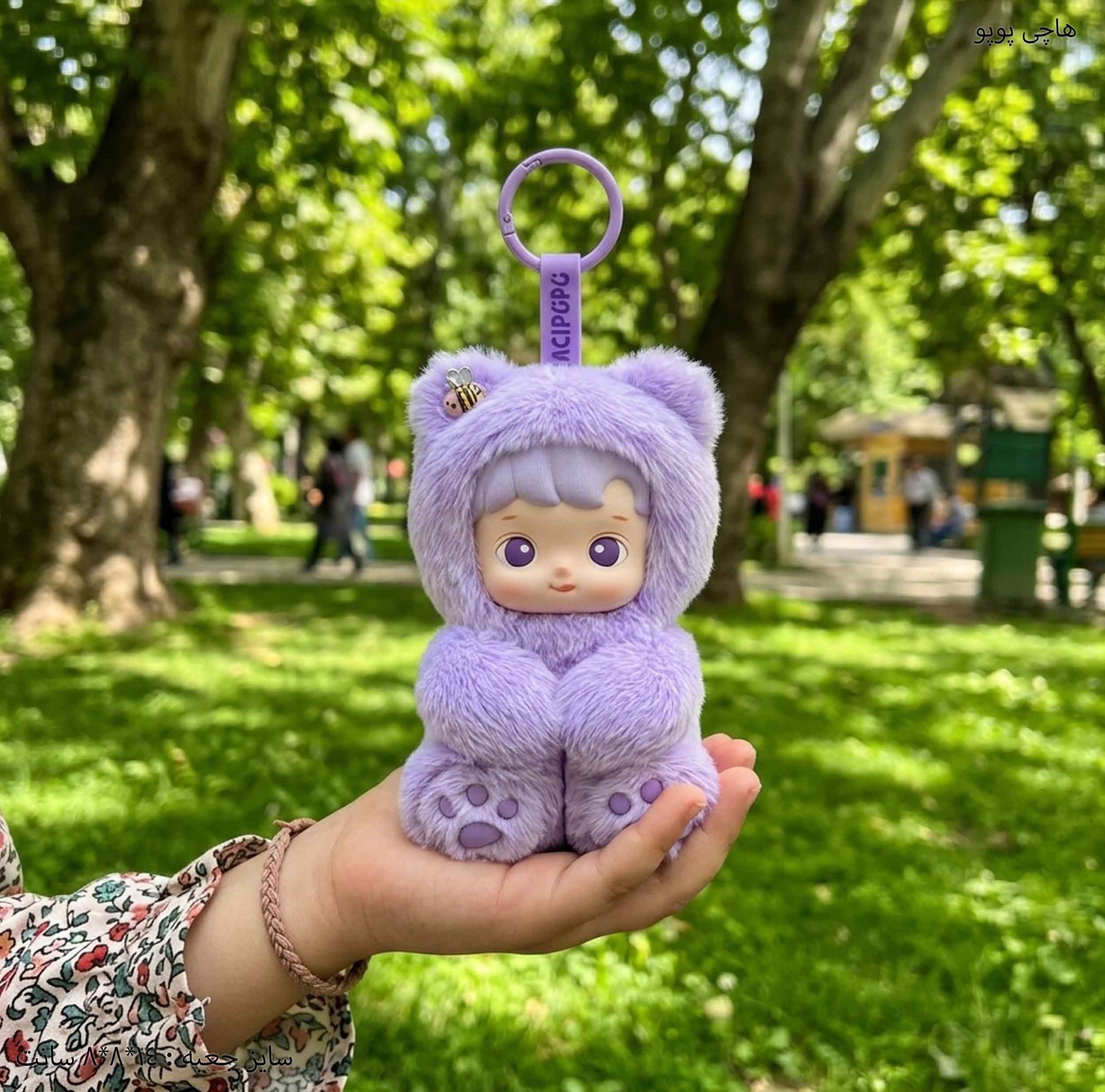 هاچی پوپو شانسی — تصویر ۲