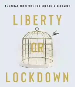 دانلود کتاب Liberty or Lockdown – آزادی یا قفل