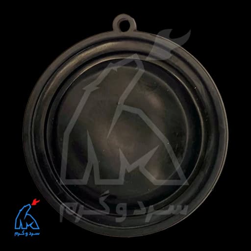 دیافراگم سینجر بزرگ — تصویر ۲