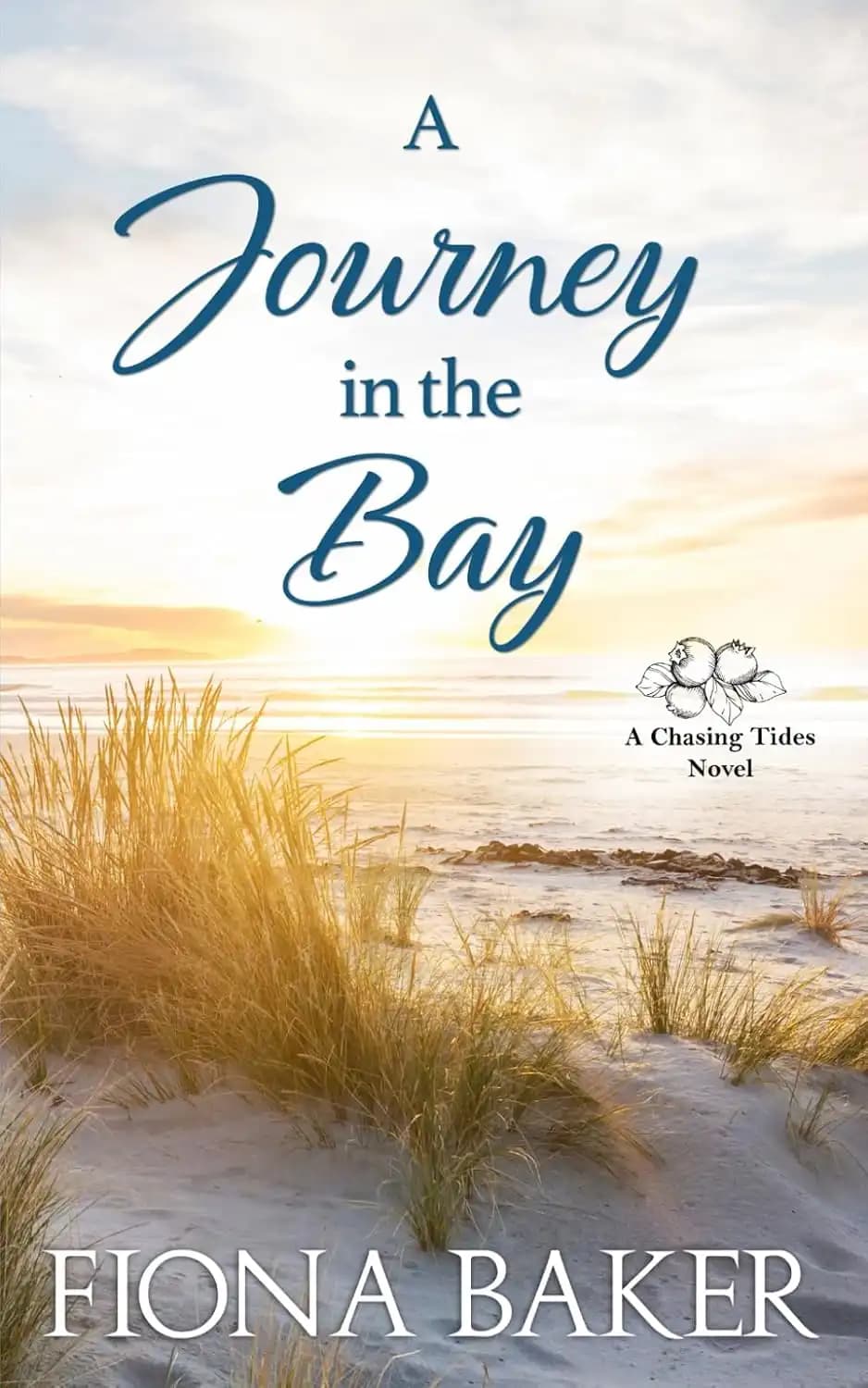 کتاب سفری در خلیج (A Journey in the Bay) نسخه انگلیسی PDF | فیونا بیکر