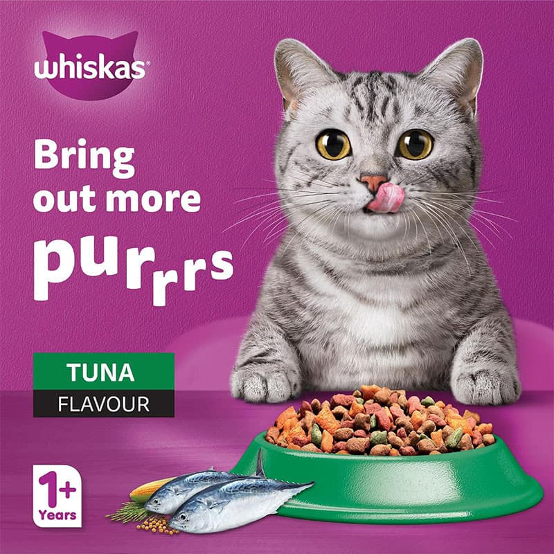 غذای خشک گربه بالغ ویسکاس مدل Dry Cat Food با طعم ماهی تن وزن 7 کیلوگرم — تصویر ۲