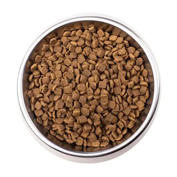 غذای خشک گربه بالغ مونژه مدل VetSolution Dermatosis با طعم سالمون وزن ۱.۵ کیلوگرم — تصویر ۲