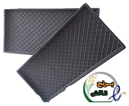 سینی نشاء برنج تالش