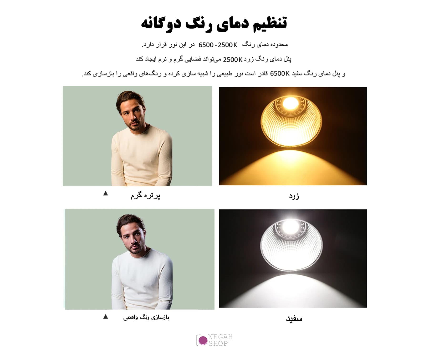 *ویدیو لایت پلوز Puluz PU4119B — تصویر ۳