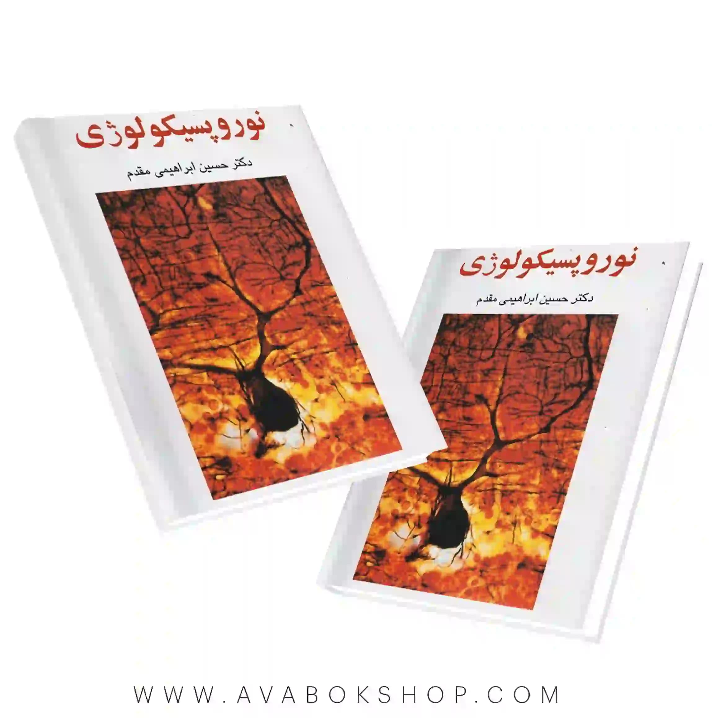 کتاب نوروپسیکولوژی انتشارات ساوالان