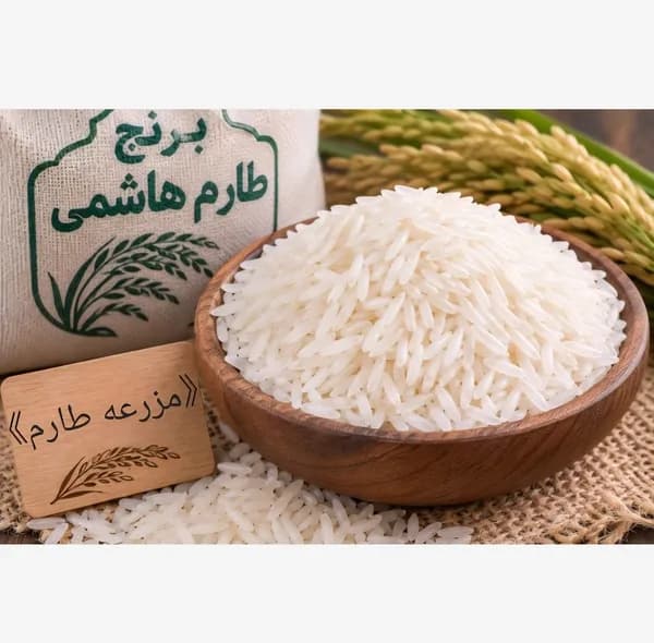 برنج طارم مازندران مزرعه طارم - 5 کیلوگرم — تصویر ۳