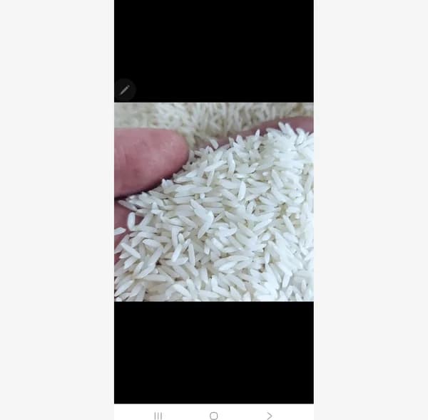 برنج طارم مازندران مزرعه طارم - 5 کیلوگرم — تصویر ۵