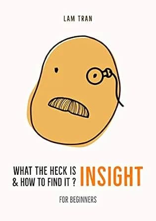 و دانلود نسخه کامل کتاب زبان اصلی What the heck is INSIGHT & How to find it? | دانلود کتاب خارجی