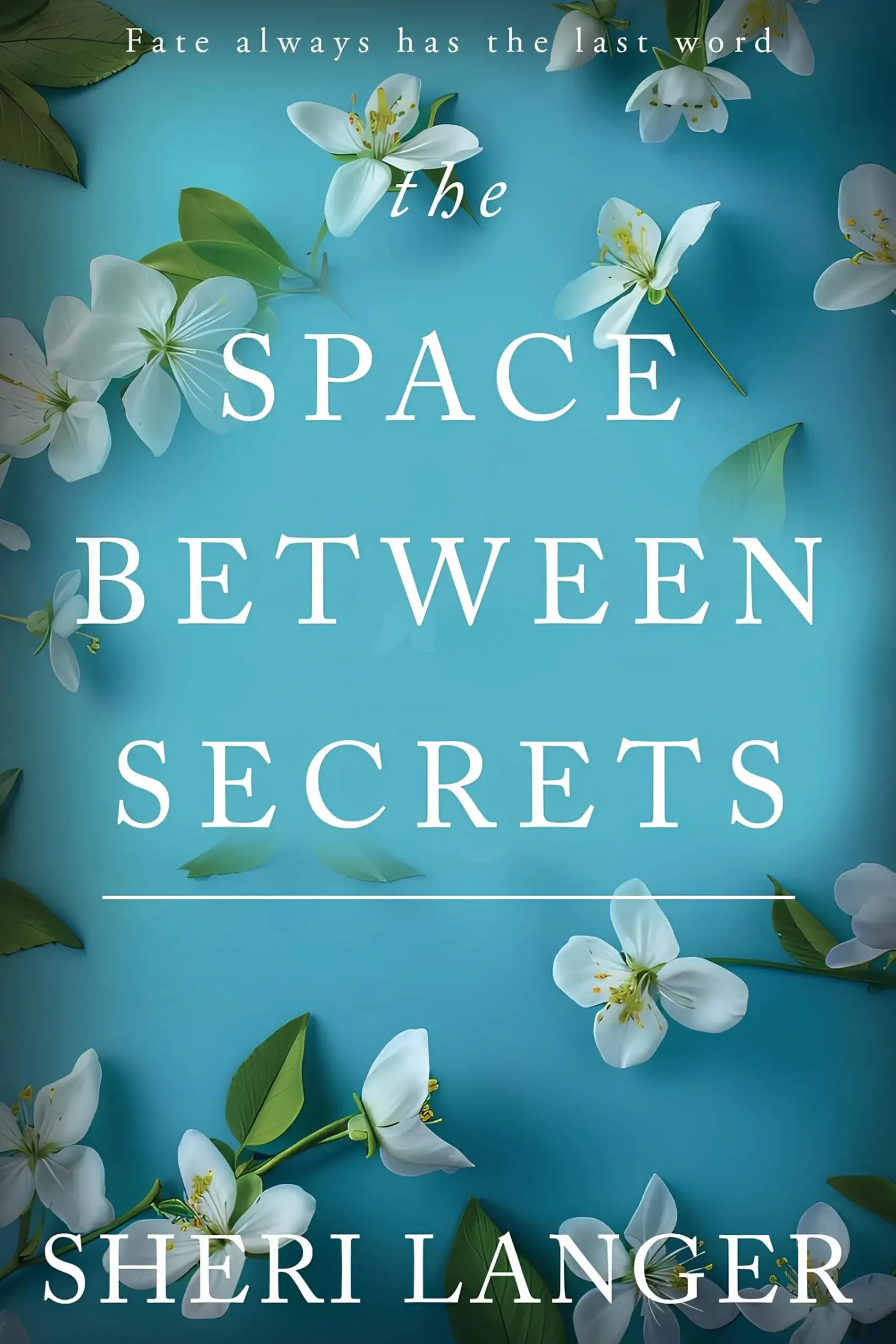 کتاب فضای میان رازها (The Space Between Secrets) نسخه انگلیسی PDF | شری لانگر