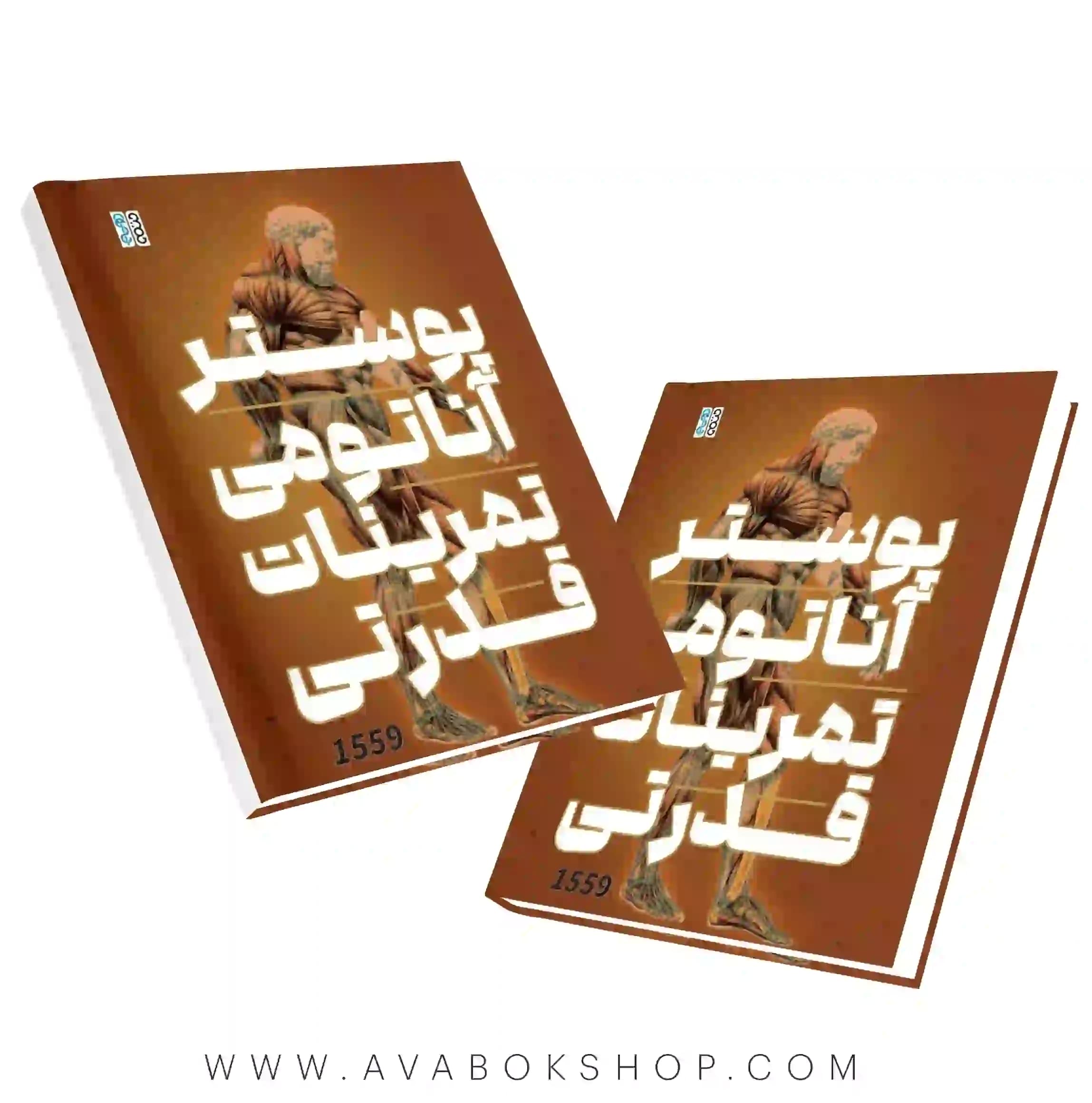پوستر آناتومی تمرینات قدرتی (به همراه پلنر تغذیه و خودکار و ماژیک) انتشارات حتمی