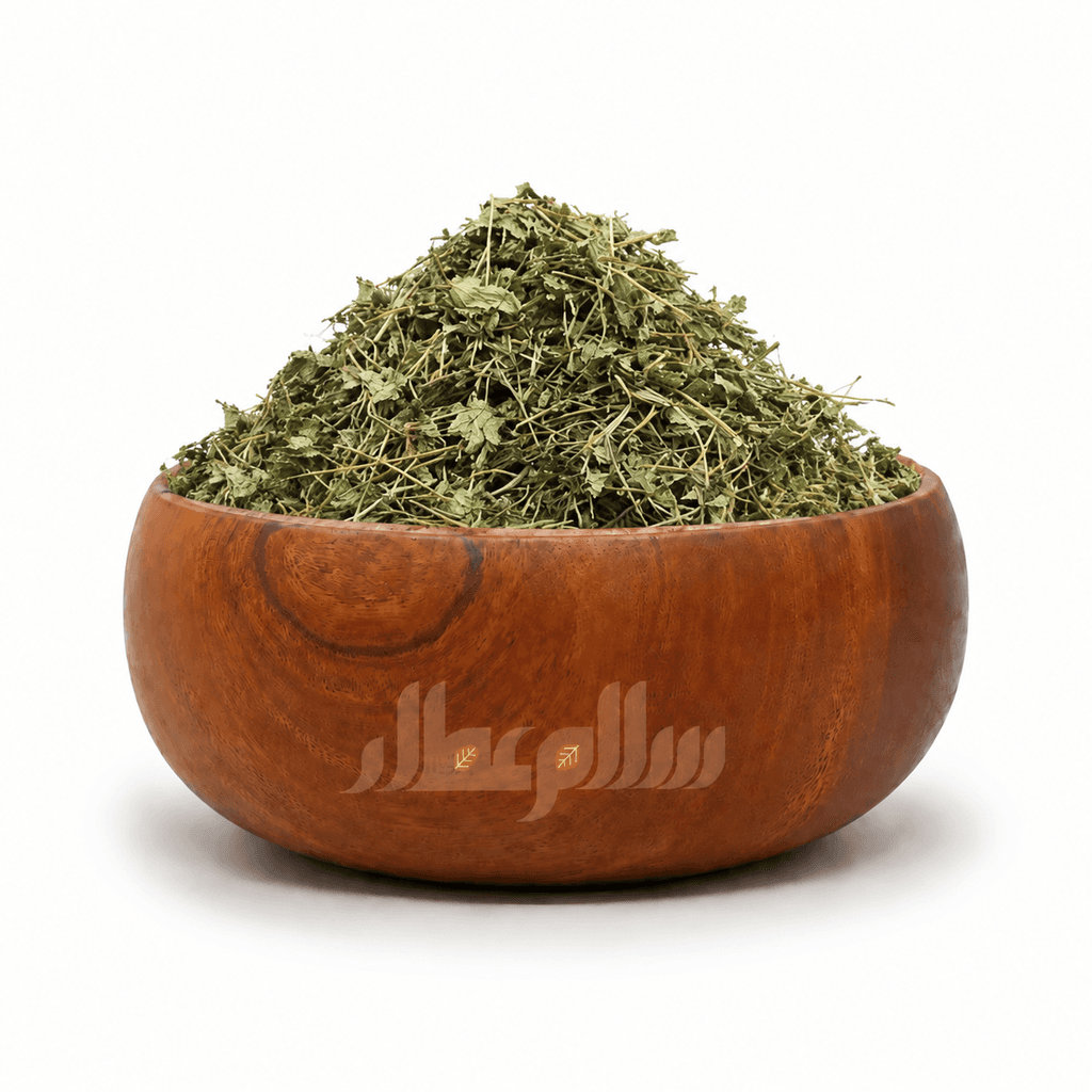 براهمی گیاه آب بشقاب