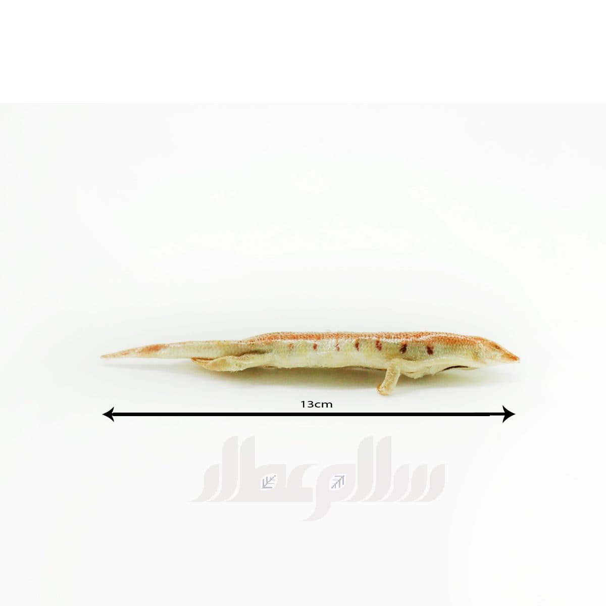 ماهی سمنغور — تصویر ۲