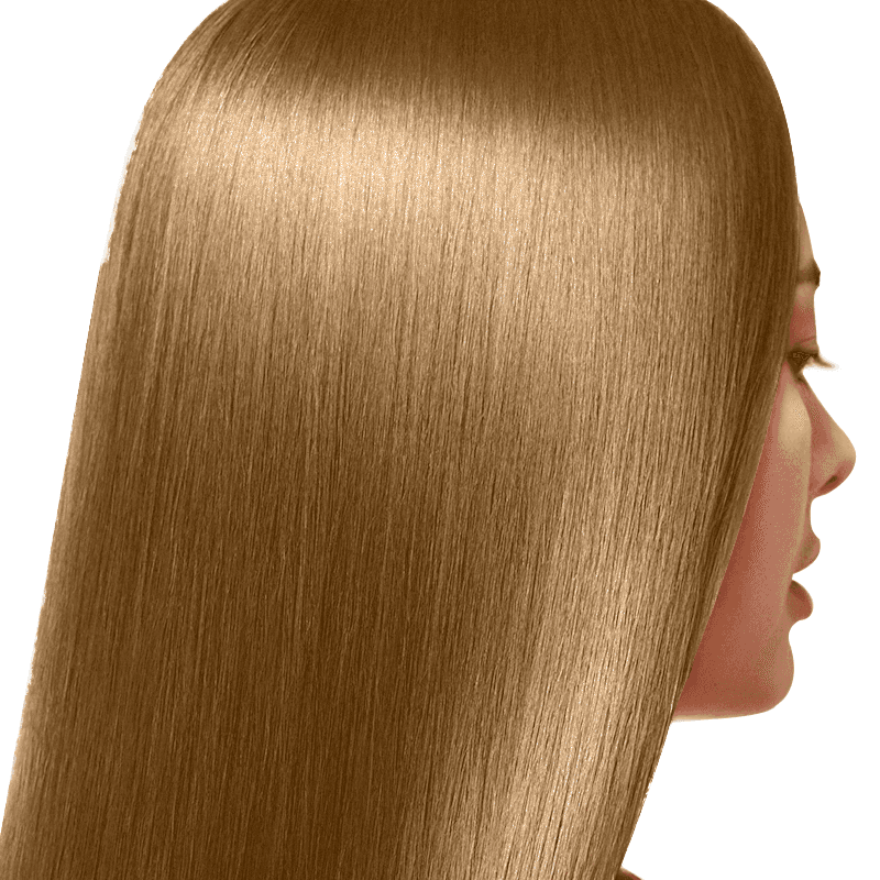 رنگ موی سیلا شماره 7.31 قهوه اسپرسو Sila Hair Color — تصویر ۳