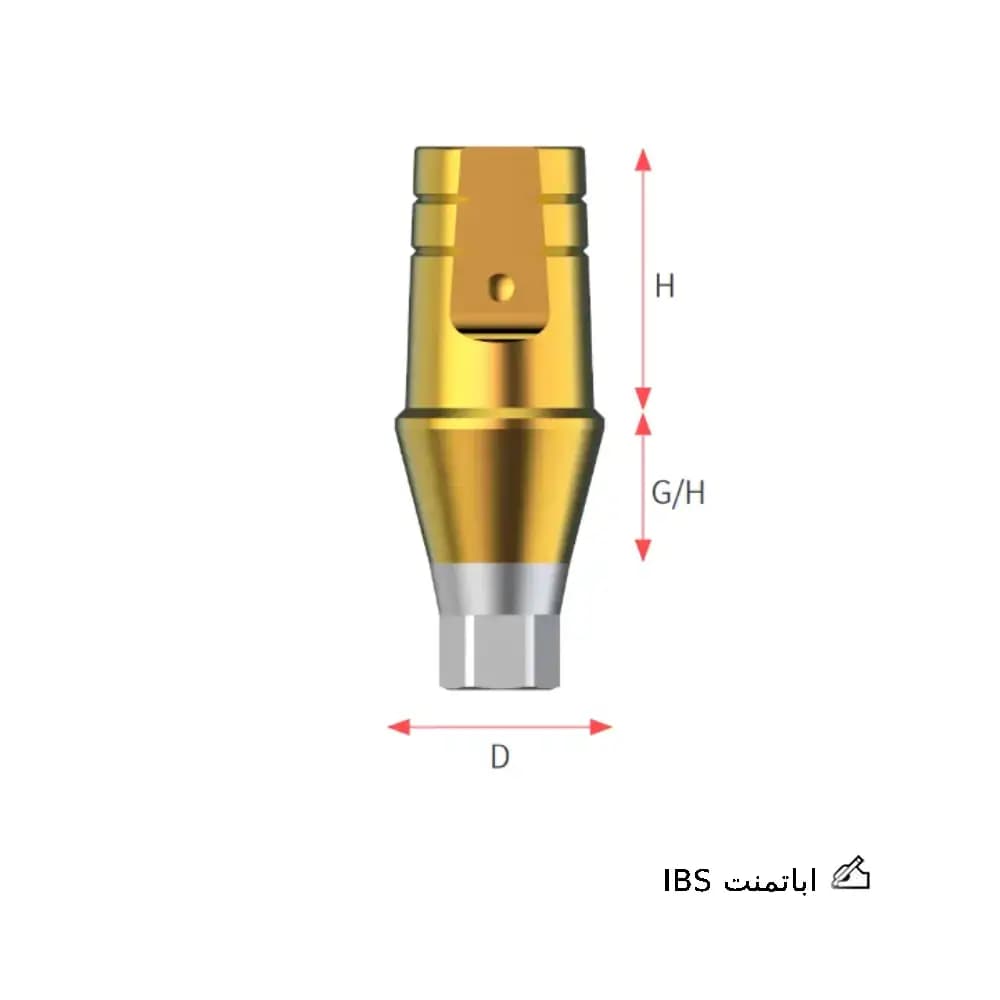 اباتمنت IBS