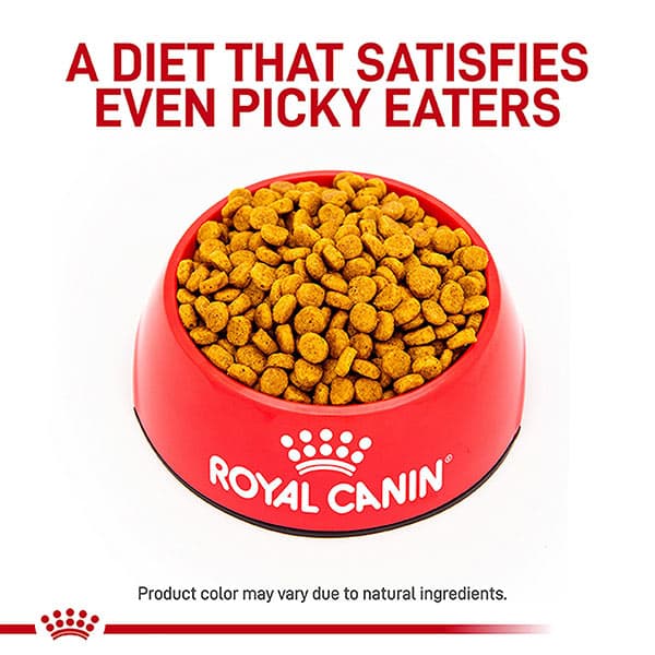 غذای خشک سگ برند رویال کنین Royal Canin هپاتیک 1/5 کیلوگرمی — تصویر ۳