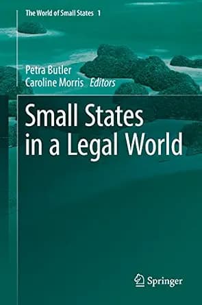 و دانلود نسخه کامل کتاب زبان اصلی Small States in a Legal World (The World of Small States Book 1) | دانلود کتاب خارجی
