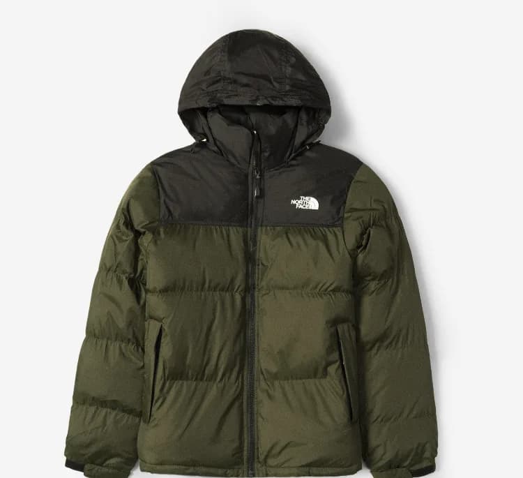 کاپشن مردانه طرح The North Face مدل 16337 رنگ سبز ارتشی