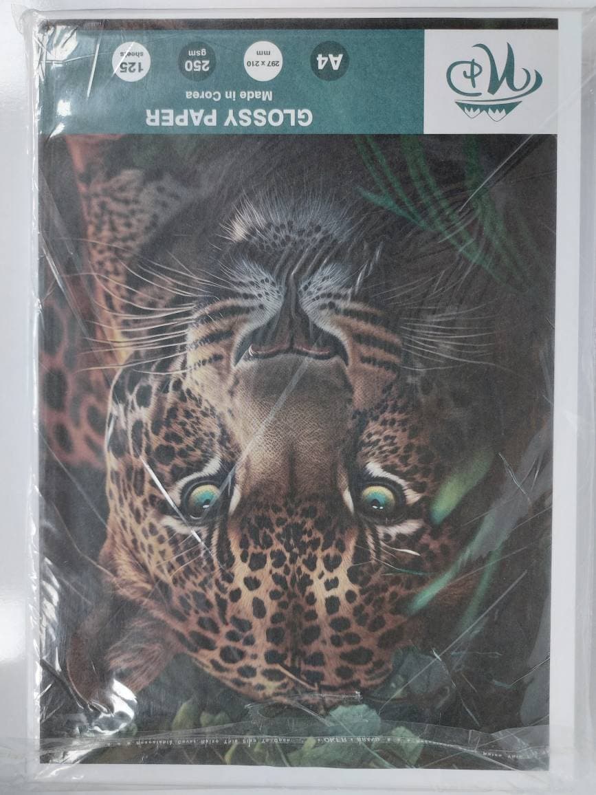 گلاسه250گرم آ4 125برگی